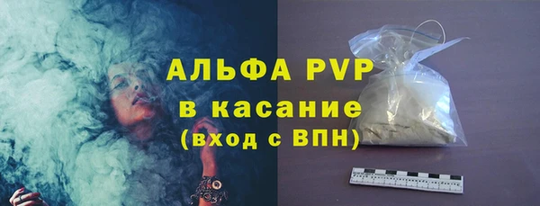 ГАЛЛЮЦИНОГЕННЫЕ ГРИБЫ Богданович