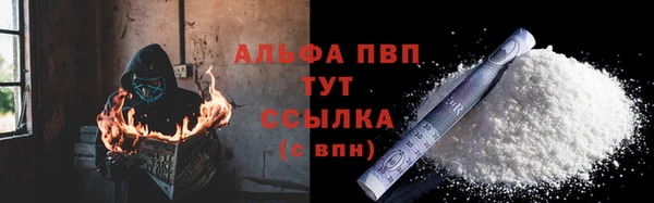 ГАЛЛЮЦИНОГЕННЫЕ ГРИБЫ Богданович