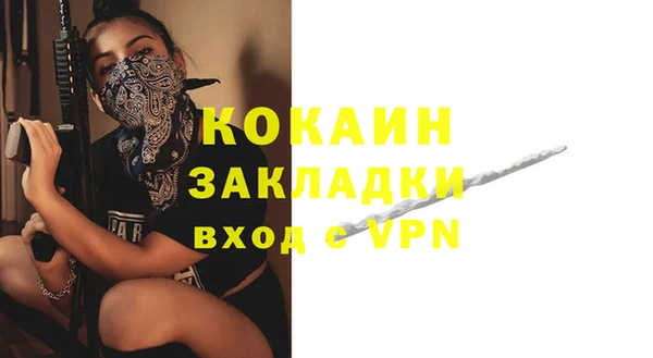 трава Белокуриха