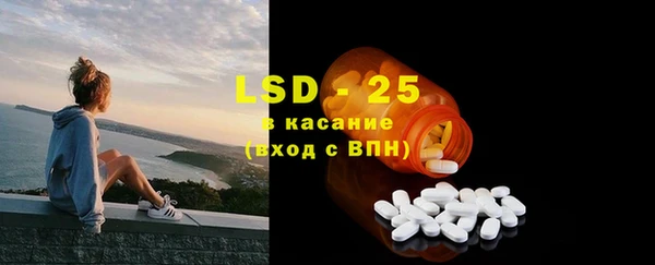 ГАЛЛЮЦИНОГЕННЫЕ ГРИБЫ Богданович
