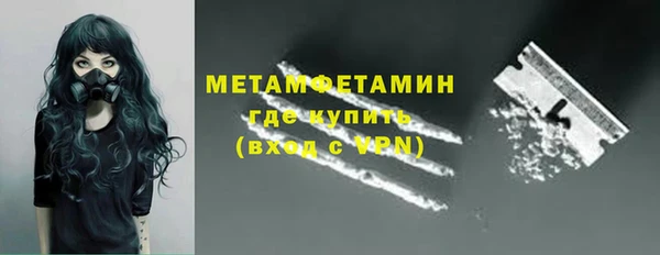 ГАЛЛЮЦИНОГЕННЫЕ ГРИБЫ Богданович