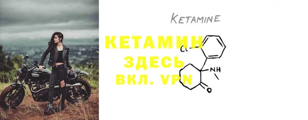ГАЛЛЮЦИНОГЕННЫЕ ГРИБЫ Богданович