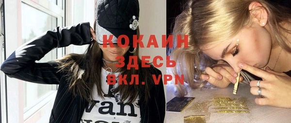 ГАЛЛЮЦИНОГЕННЫЕ ГРИБЫ Богданович